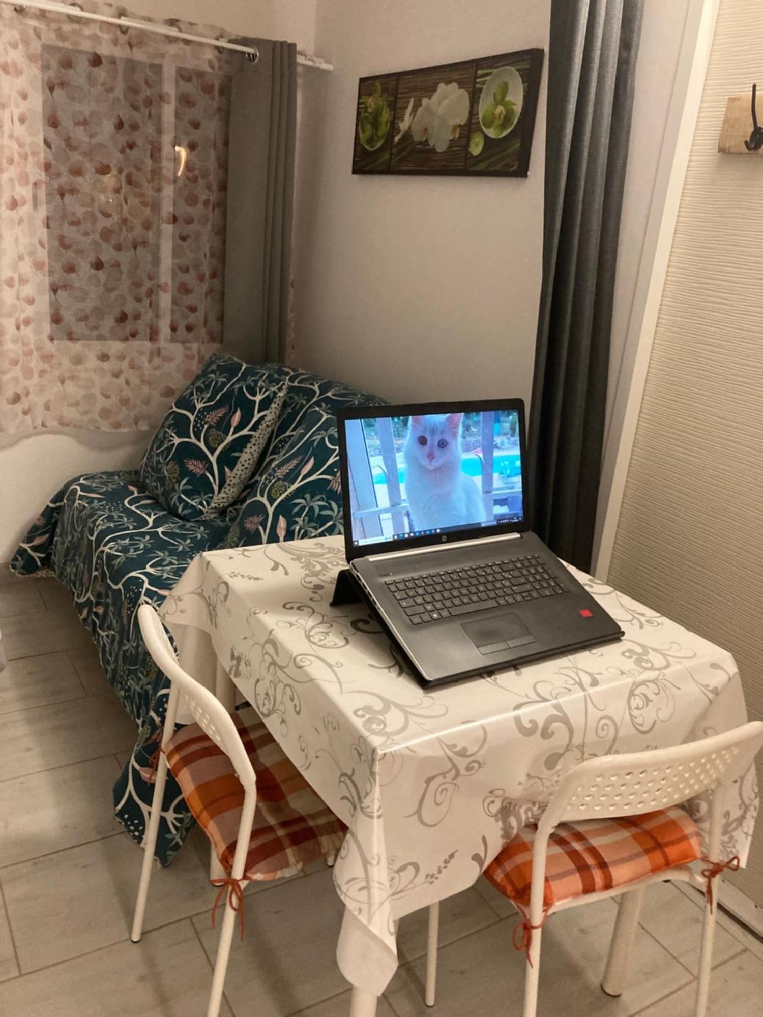 Au Havre De Paix Apartment Garéoult Екстериор снимка